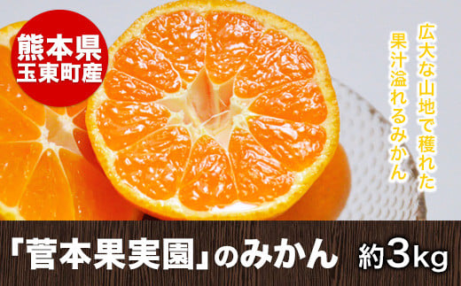 『菅本果実園』のみかん★約3kg(2S-Lサイズ)《11月中旬-12月末頃出荷》 フルーツ 秋 旬★熊本県玉名郡玉東町 全国にファン多数！エコファーマー菅本さんのみかん『菅本果実園』