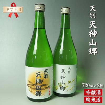ふるさと納税 富津市 【ギフト用】吟醸酒&amp;純米酒「天羽 天神山郷」味くらべ 720ml×2本