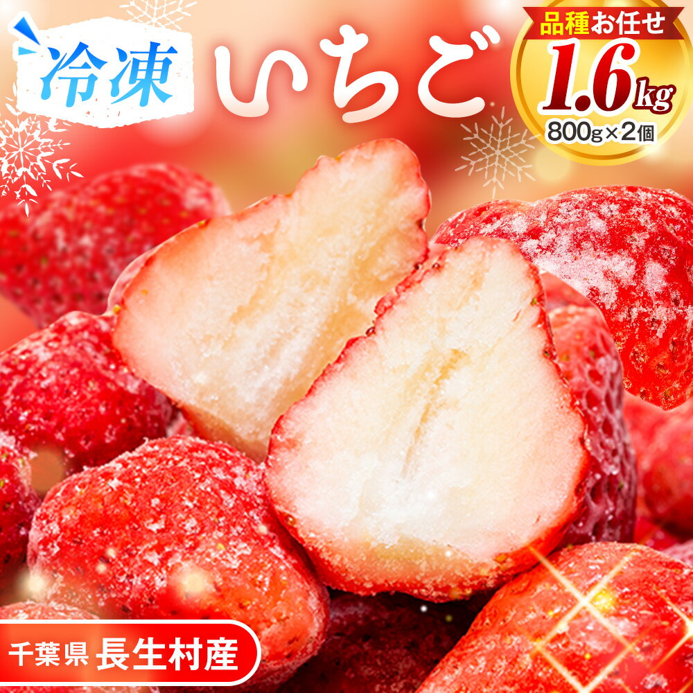 【ふるさと納税】冷凍いちご 2袋セット 品種おまかせ ランダム ベリーポップはるひ みくのか さつまおとめ 星うらら 長生村産 いちご イチゴ 苺 スムージー ジャム 果物 千葉県 長生村
