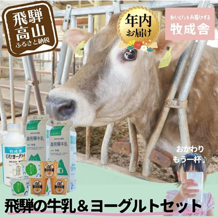 【ふるさと納税】【年内配送が選べる】＜牧成舎＞飛騨の牛乳屋のこだわり 牛乳＆ヨーグルト 4種セット | 発送時期が選べる 年内発送 飲むヨーグルト 生乳 乳製品 自社牧場 低温殺菌 生クリーム 飛騨 詰め合わせ まとめ買い セット 飲料 お取り寄せ 飛騨高山 牧成舎 DF016VP