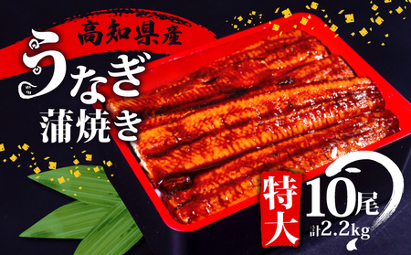 うなぎ 国産 高知県産 鰻 蒲焼き 220g×10尾 セット 蒲焼きのタレ 付き 冷凍 高知県 須崎 ( 台湾産 肉厚 ウナギ 蒲焼 タレ付き ふっくら 香ばしい うなぎ蒲焼き 鰻蒲焼 台湾産 養殖鰻 養殖うなぎ 惣菜 温めるだけ 簡単調理 3回 定期便 )