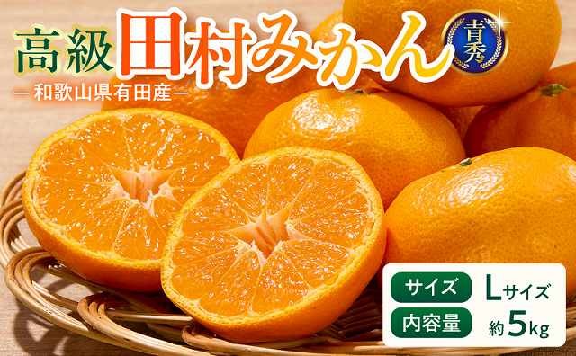 
                  【2026年先行予約】「高級 田村みかん」 青秀 約5kg Lサイズ 和歌山県有田産 有田みかん【ミカン 蜜柑 柑橘 温州みかん 和歌山産 有田みかん】_U6243n
                