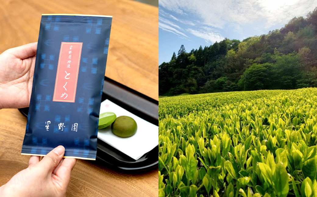 八女市産 星野園特選煎茶 とくめ (100g×5袋) 合計500g 八女茶 緑茶 日本茶 お茶 茶葉 煎茶 国産茶 国産 お茶の星野園
