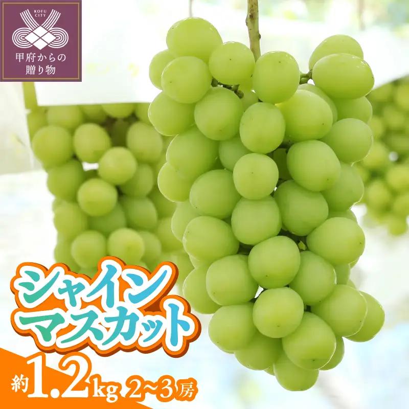 〈2026年度配送分〉甲府市産　シャインマスカット　約1.2kg（2～3房）
