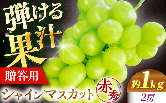 
                  【2026年先行予約】＜9月中旬から順次発送＞ぶどう シャインマスカット 1kg（2房 赤秀） 露地栽培 シャインマスカット マスカット 果物 くだもの フルーツ ぶどう 葡萄 種なし そのまま 甘い おいしい 人気 ランキング 皮なし 丸ごと 果肉 果汁 ジュース スムージー シャーベット デザート スイーツ アレンジ 子ども 大人 夏 秋 旬 味覚 三次市/西田ぶどう園 [APCM001]
                