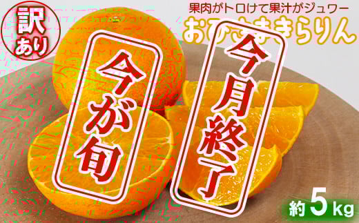 【訳あり・優品】今村農園の「おひさまきらりん 約5kg」 甘い オレンジ みかん ミカン 清美 12月発送 1月発送 先行予約 5kg わけあり 柑橘類 フルーツ ＜107-020_5＞