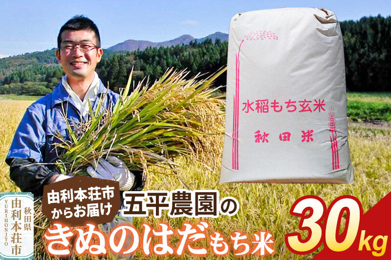 令和7年産【もち米】玄米 きぬのはだ 30kg 秋田県 由利本荘市産 五平農園 [もち米 餅 米 もちもち お赤飯 おこわ おはぎ 玄米 正月 きぬのはだ 秋田県産 由利本荘市]
