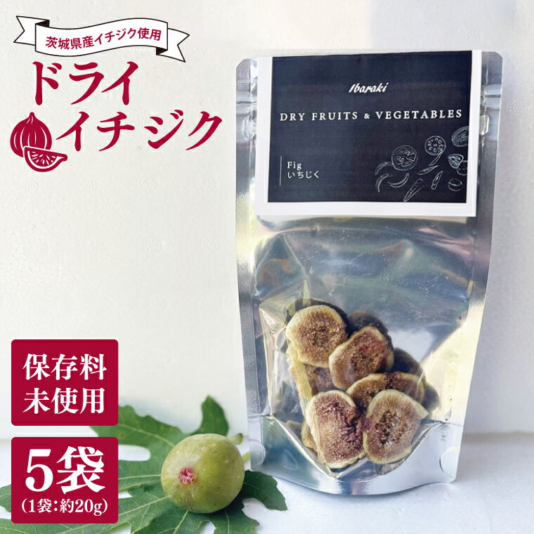 【ふるさと納税】★数量限定★ドライイチジク　約20g×5袋｜いちじく イチジク フルーツ ドライフルーツ ドライイチジク 数量限定 茨城県 行方市(CP-15)