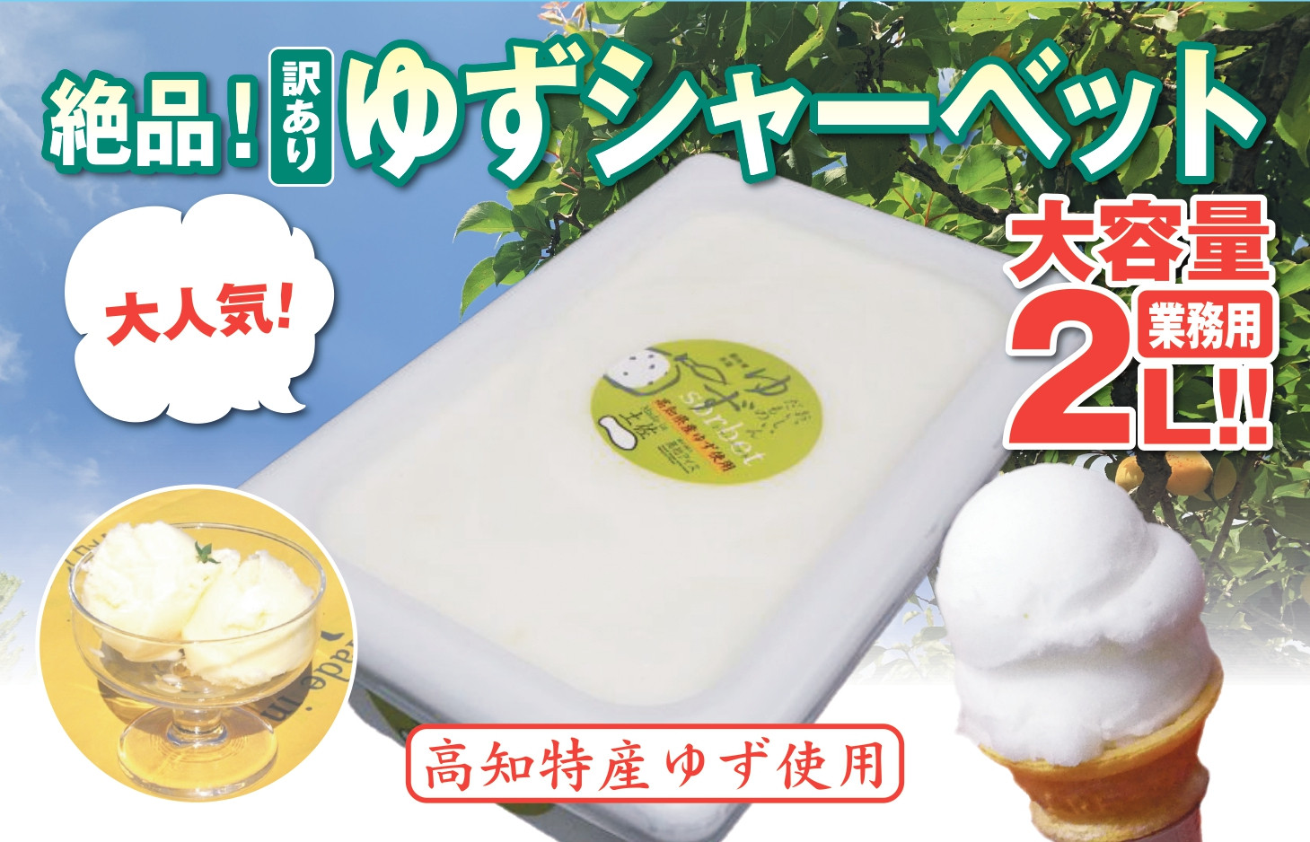 
アイスクリーム 業務用 2L 高知県産 柚子 シャーベット ゆず ご当地アイス あっさり 爽やか 須崎市
