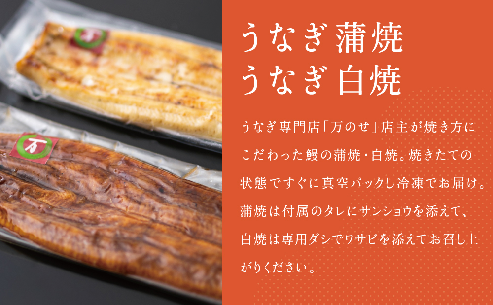 【鹿児島県産】うなぎの「万のせ」鰻満喫セット（4種） 詰め合わせ ギフト 贈答品 鹿児島県産 鹿児島うなぎ 鰻 蒲焼き ウナギ うなぎ蒸しおむすび 土用の丑 丑の日