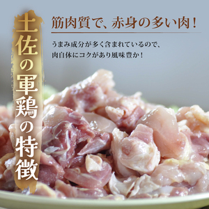 土佐のシャモ鍋セット 軍鶏肉 500g 鍋