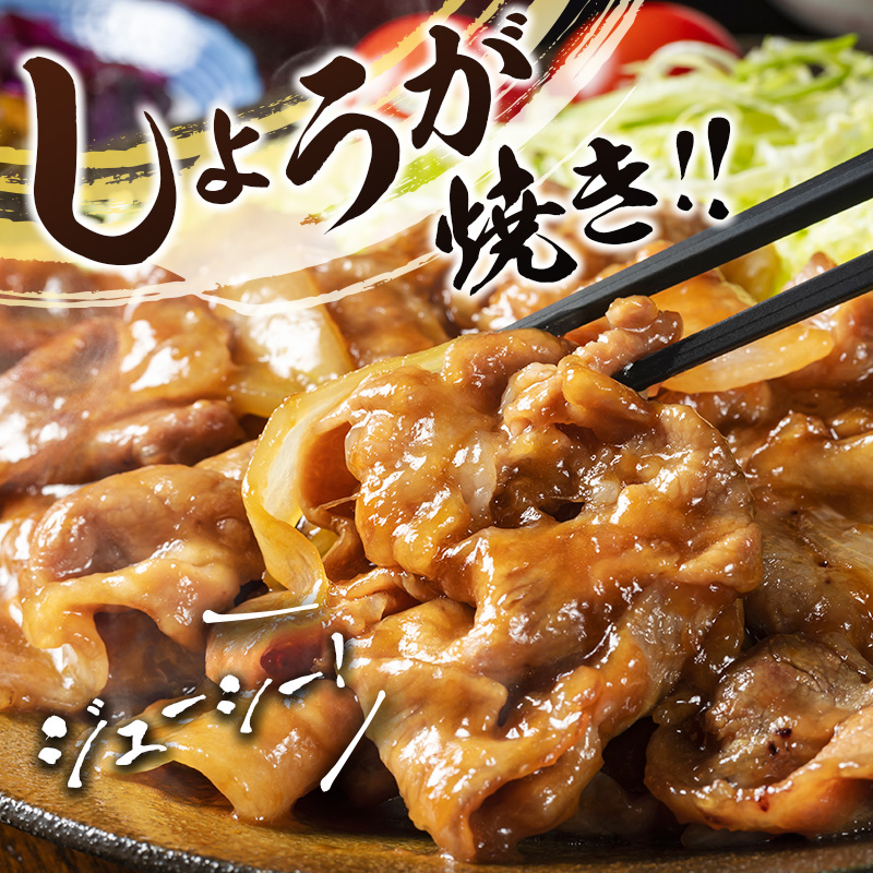 宮崎県産 豚肩ローススライス肉（400g×6パック）合計2.4kg ※ご入金月の翌月中に出荷【B585】_イメージ2