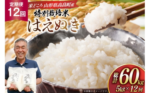 米 定期便 12回 令和8年産 特別栽培米 はえぬき 5kg 12回 計60kg [渡部ファーム 山形県 高畠町 tk06ays810059] ふるさと納税 お米 おこめ こめ コメ 白米 精米 ごはん ご飯 ブランド米