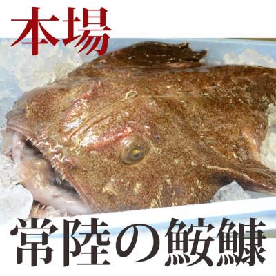 ふるさと納税 ひたちなか市 【3月発送】常陸名物　あんこう鍋セット(3〜4人前) |  | 02