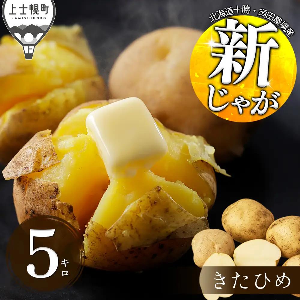 2026年産 先行予約 北海道産 新じゃが じゃがいも きたひめ 5kg 北海道 上士幌町 須田農場 野菜 ジャガイモ 馬鈴薯 産地直送 ◆2026年9月中旬発送開始予定