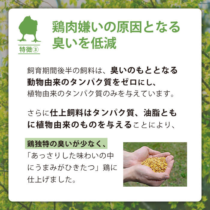 岩手県産 「菜彩鶏」 むね肉4kgセット（1kg×4袋）