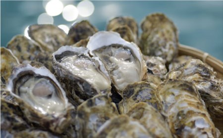 糸島 カキ 3,000円分 飲食 チケット 糸島市 / 糸島漁業協同組合 [AKD002] 送料無料 かき 牡蠣 カキ 牡蠣鍋 国産 糸島 鍋 チケット カキ小屋