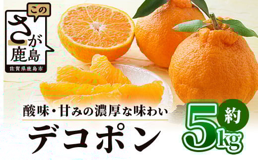 【予約受付】基準クリアの高級柑橘 デコポン 約5kg 不知火 しらぬい でこぽん みかん 蜜柑 ミカン オレンジ 柑橘 フルーツ 果物 贈り物 贈答 プレゼント 高級 ブランド 限定 ギフト ふるさと納税 佐賀県 鹿島市 B-672