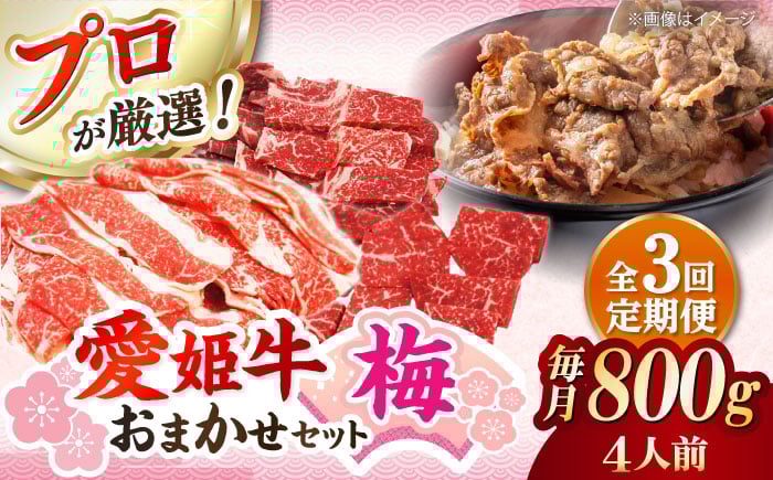 
            牛肉【全3回定期便】 牛肉 希少な国産ブランド牛！「愛姫牛」店主におまかせ旬セット【梅】 800g（4人前）愛媛県大洲市/有限会社 木村屋精肉店 [AGCC055]  肉 おまかせ 赤身 料理 牛肉料理  肉 牛 和牛 グルメ ステーキ 焼肉 肉質 精肉店 愛媛県産 大洲市産 産地直送 愛姫牛 国産牛 ブランド肉 サシ 赤身 肉質 旨味 食事 焼き肉 ご褒美 おすすめ 人気 お取り寄せ
          