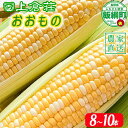 【ふるさと納税】とうもろこし 8本～10本 信州産 朝採り 上倉荘 配送先は本州限定 長野県 飯綱町 〔 信州 トウモロコシ コーン おおもの 野菜 13000円 〕発送時期：2024年8月上旬～2024年9月下旬