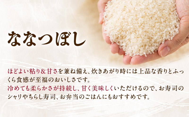 北海道産 喜 ななつぼし 無洗米 300g 米 特A 獲得 白米 ごはん
