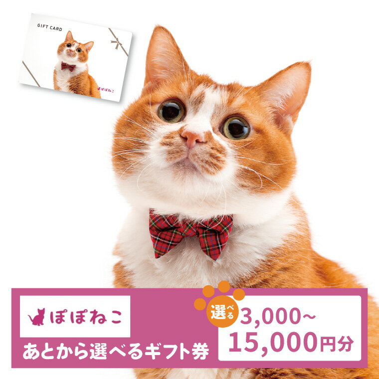【ふるさと納税】【選べる内容量】ぽぽねこギフト券（封筒タイプ）3,000円分 or 9,000円分 or 15,000円分 オンラインショップで使えるギフト券ペット用品猫（BP004）