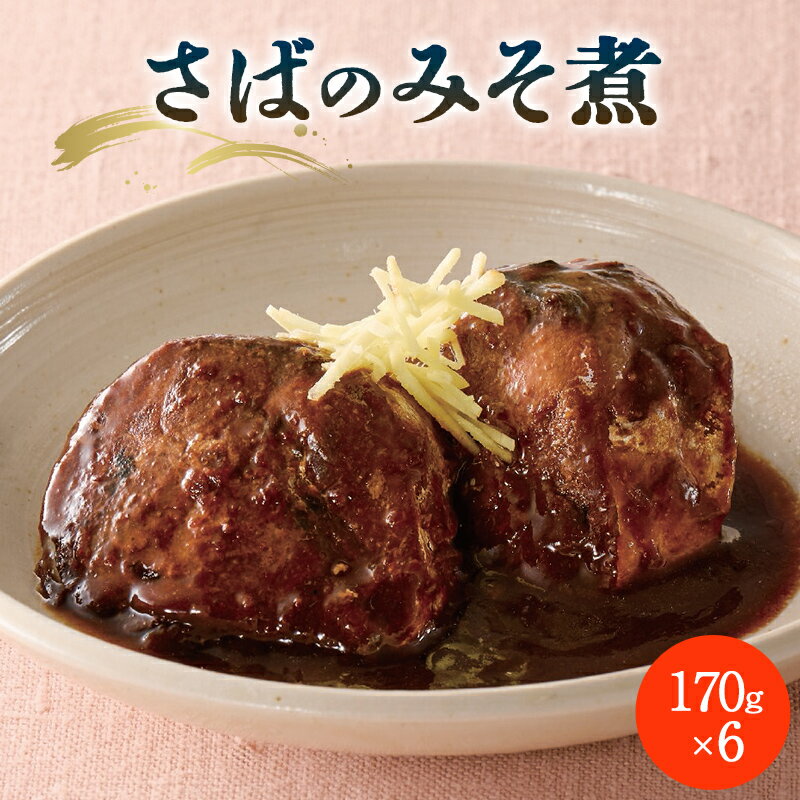 【ふるさと納税】 さばのみそ煮 F2Y-6505