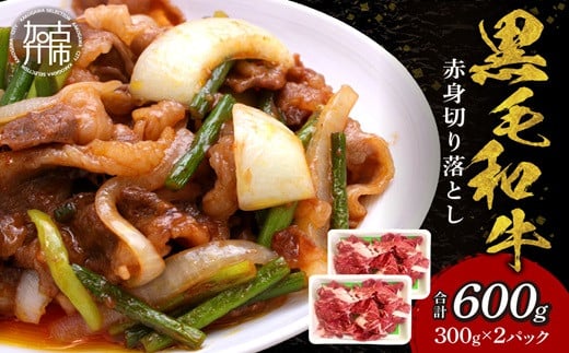 
            【肉のまち かこがわ】黒毛和牛 赤身切り落とし スライス300g×2 《 黒毛和牛 和牛 牛肉 赤身 お肉 切り落とし 》【2401A00620】
          