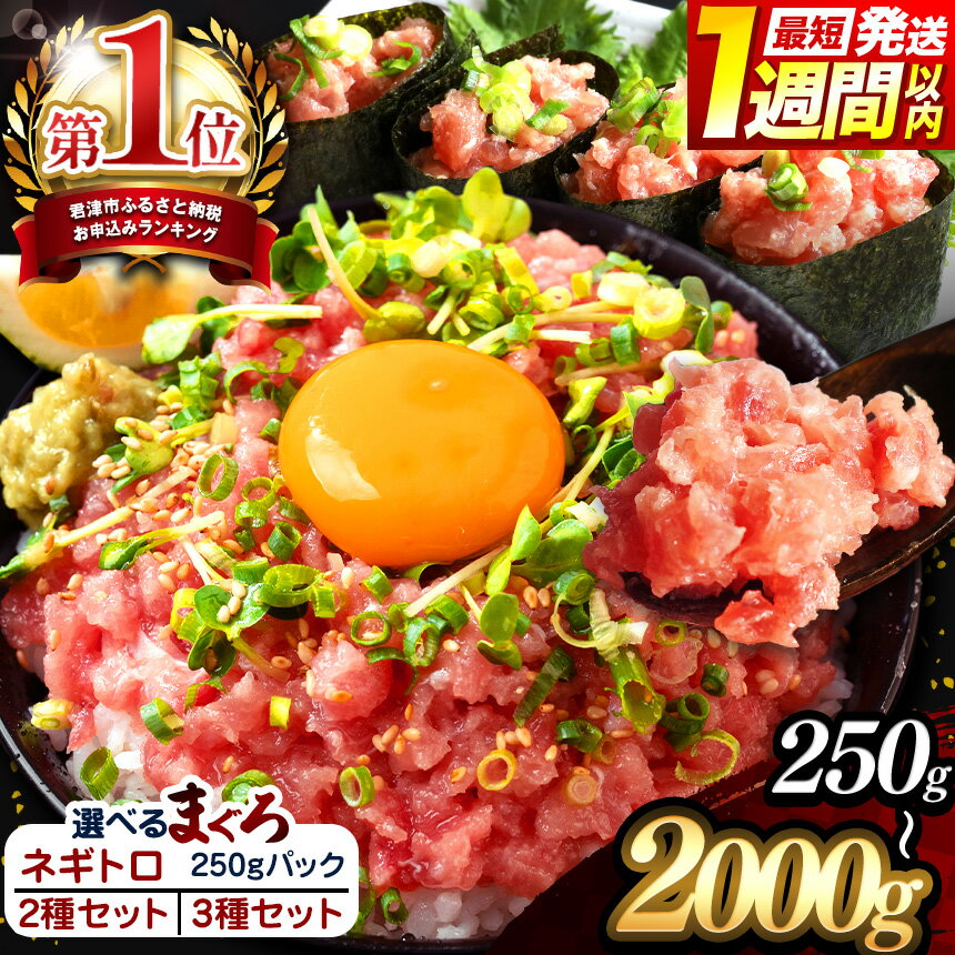 清幸丸水産 ねぎとろ 大人気 1250g(250g×5袋) 味も量も大満足