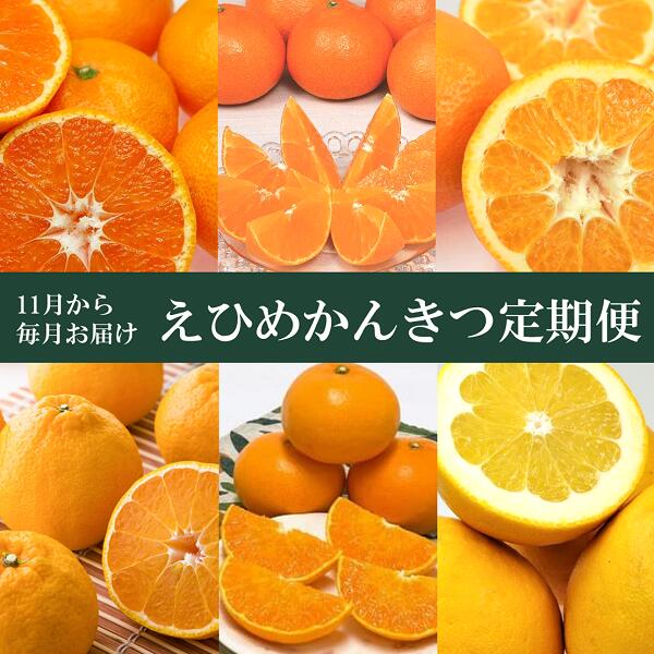 【ふるさと納税】えひめかんきつ定期便（全6回）柑橘 紅まどんな 日の丸みかん 伊予柑 デコポン せとか 河内晩柑 | F01