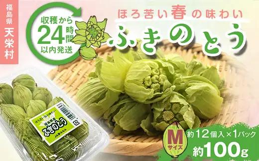 収穫から24時間以内に発送！ほろ苦い春の味わい「ふきのとう」Mサイズ1パック100g（約12個） F21T-349