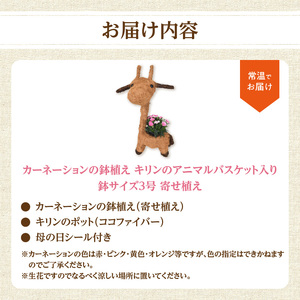 R07011-H 【母の日ギフト】カーネーションの鉢植え キリンのアニマルバスケット入り 鉢サイズ3号 寄せ植え ≪5月11日お届け≫