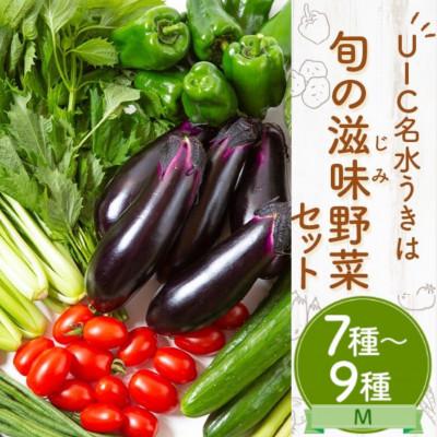 ふるさと納税 うきは市 名水うきは 旬の滋味(じみ)野菜セットM 　U011-1VE-SEUM