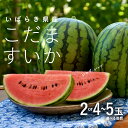 【ふるさと納税】 こだま すいか ( 選べる個数 ) 2玉 4玉～5玉 【2025年5月中旬から発送開始】 小玉すいか こだますいか 小玉 スイカ 西瓜 果物 フルーツ 茨城 農家直送 産地直送