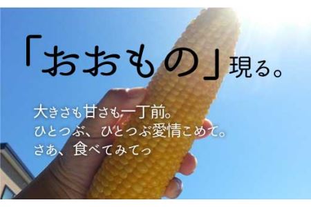 北海道栗山町産 スイートコーンその名は「おおもの」12本