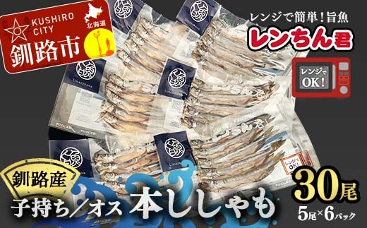 
            レンちん君釧路産本ししゃもセット シシャモ  冷凍 魚 海産物 一夜干し 北海道 F4F-8446
          