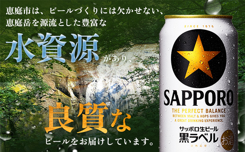サッポロ黒ラベル350ml×240本（10箱） | サッポロ黒ラベル 黒ラベル サッポロ サッポロビール ビール 生ビール お酒 アルコール 北海道醸造 麦芽 うまみ 後味 爽やか 泡 鮮度 お取り寄