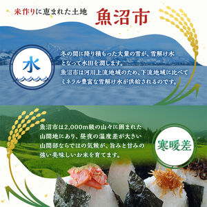 令和7年産【雪国逸品 精米5kg】越後魚沼郷 魚沼産コシヒカリ お米 人 自然調和 ミネラル 奇跡 自然環境 努カ 香り つや 粘り 極上