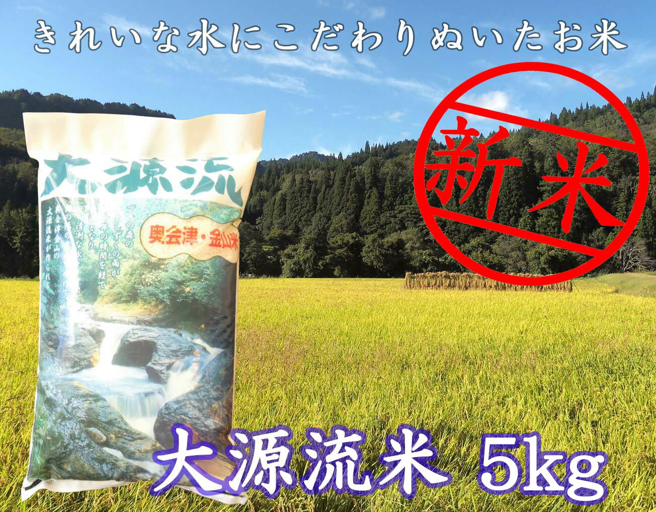 【ふるさと納税】【令和7年産新米】大源流米コシヒカリ5kg　福島県　金山町　コシヒカリ　5kg　減農薬　精米　白米