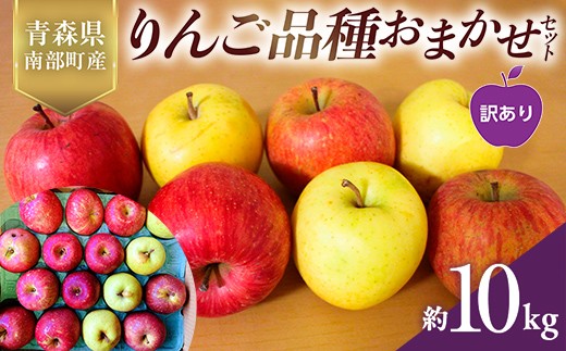 
                  【訳あり】 りんご品種おまかせセット 10kg ≪佐々木あきおはるこ農園≫ 青森りんご リンゴ 林檎 アップル 家庭用 規格外 あおもり 青森県 南部町 三戸 果物 くだもの フルーツ おすすめ F21U-561
                