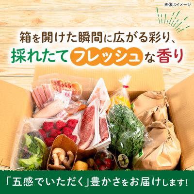 ふるさと納税 糸島市 糸島産 魚 米 野菜 果物 厳選詰め合わせ MINORI BOX S [AOP019] |  | 03