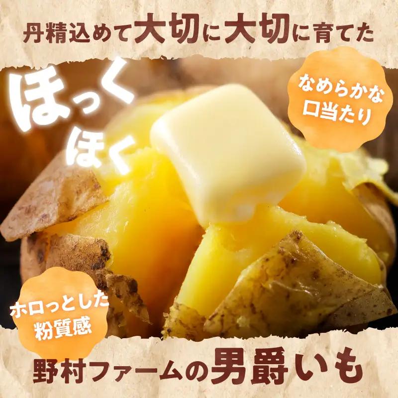 北海道産 じゃがいも 男爵 10kg  じゃがいも 男爵芋