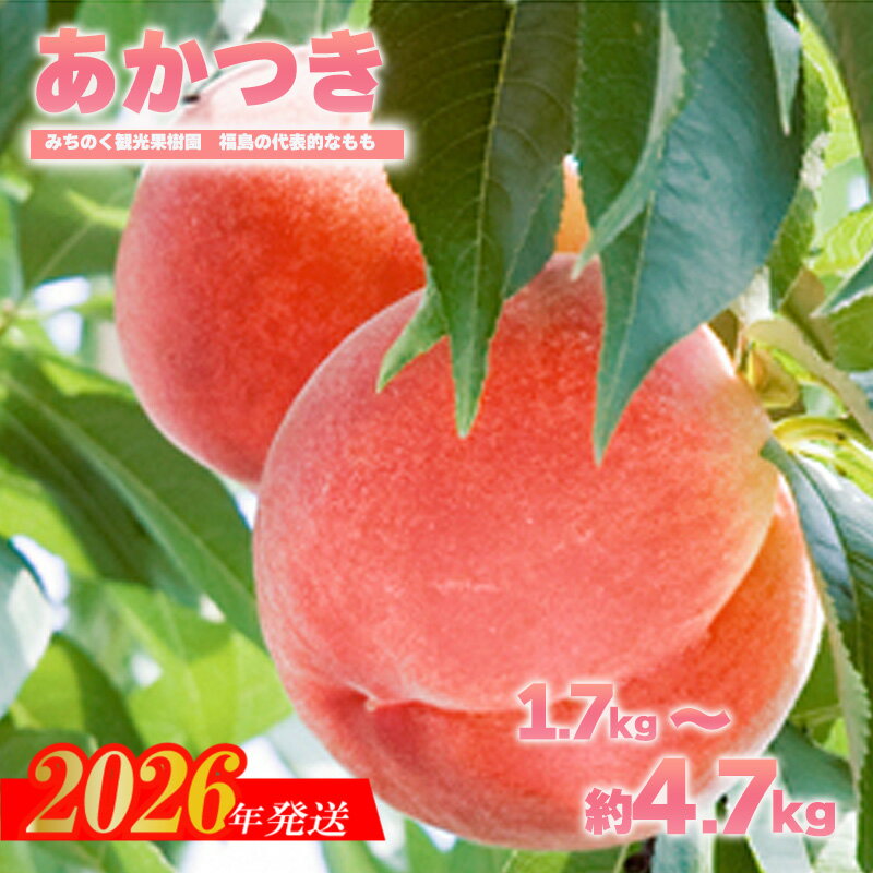 【ふるさと納税】もも「あかつき」贈答用　約1.7kg 約2.7kg 約4.7kg【2026年発送　先行予約】