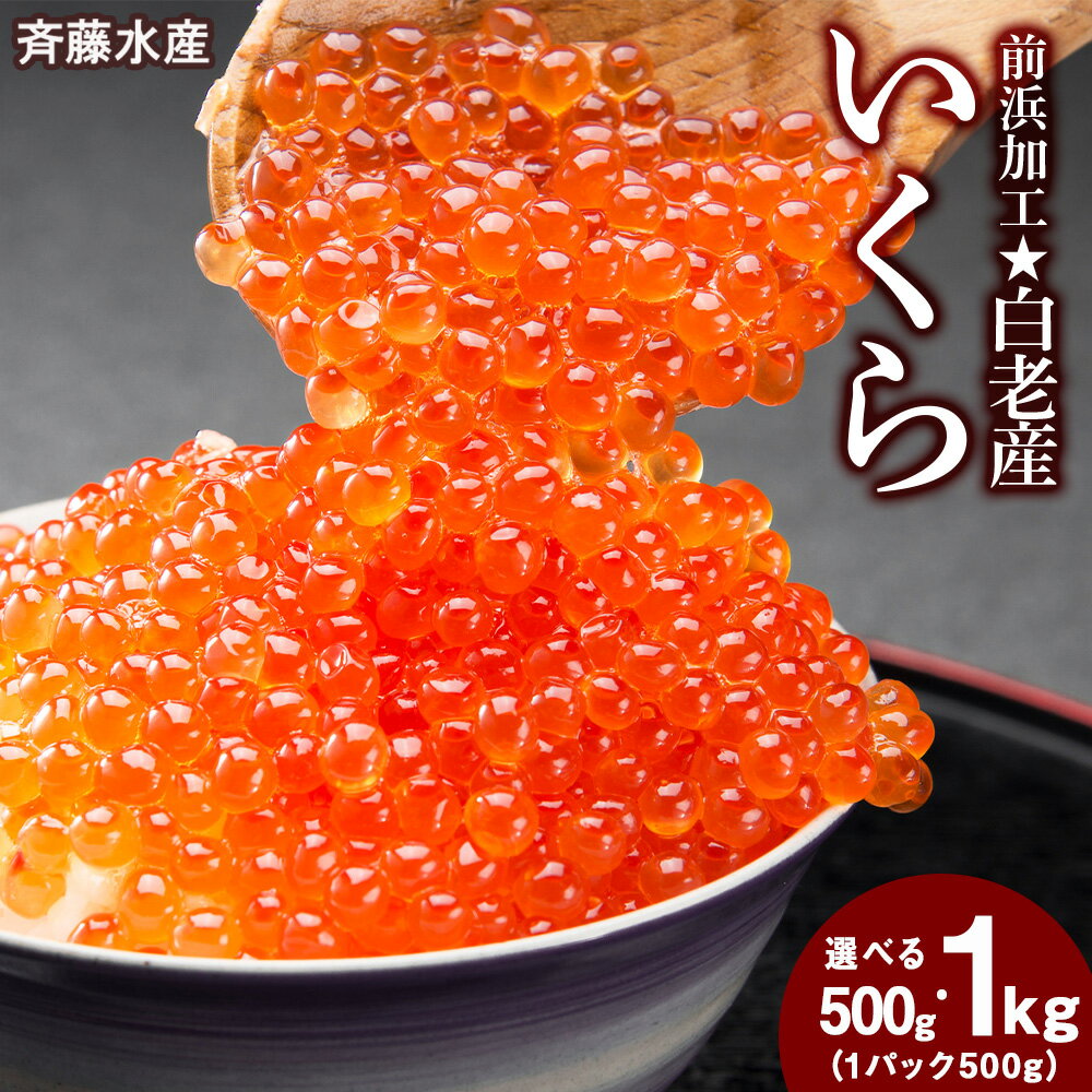 【ふるさと納税】 いくら 北海道 白老産 前浜加工 選べる500g～1kg ＜斉藤水産＞いくら イクラ 魚卵 海産物 北海道ふるさと納税 白老 ふるさと納税 北海道 おせち
