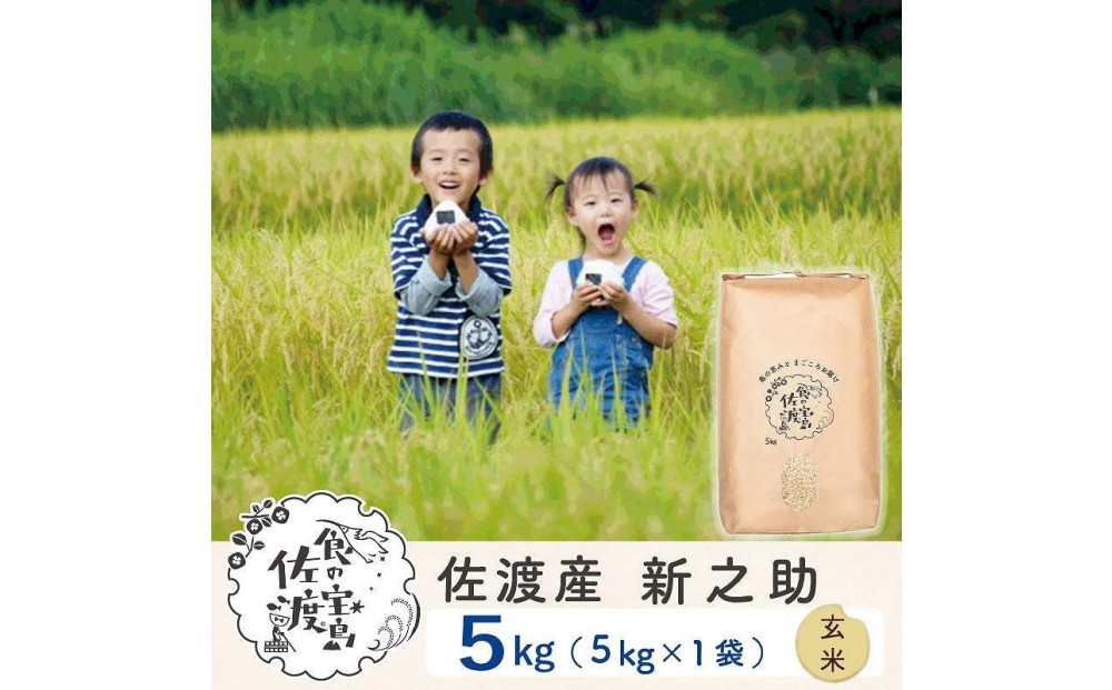 佐渡島産 新之助 玄米5kg×1袋195962-1043