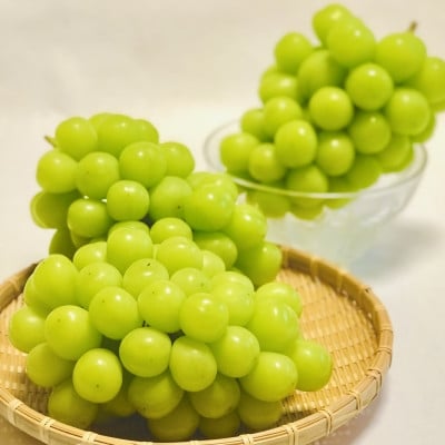 
            ＜2026年先行受付＞訳あり!生産者直送シャインマスカット 計1kg＜味には妥協なし!＞【1681114】
          