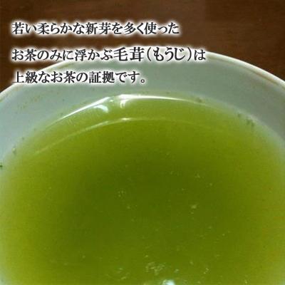 ふるさと納税 小郡市 八女茶 奥八女星野村 八女伝統 本玉露 50g×2袋[No5354-0246] |  | 03