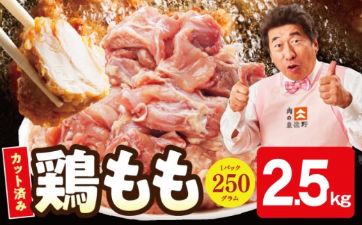 【小分け】国産鶏もも肉 2.5kg（250g×10P） 【カット済み 氷温熟成×極味付け 簡単調理 訳あり サイズ不揃い 鶏肉 とり スピード発送  大阪 泉佐野 大阪府 泉佐野市】