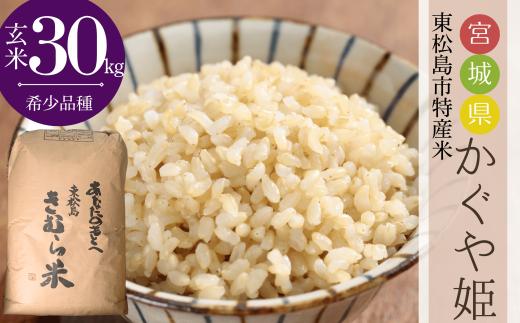 【令和7年産】【新米】 宮城県産 超稀少品種 かぐや姫 玄米 30kg × 1袋 宮城県 東松島市 天授のお米 米 こめ 宮城県 東松島市 オンラインワンストップ 対応 自治体マイページ