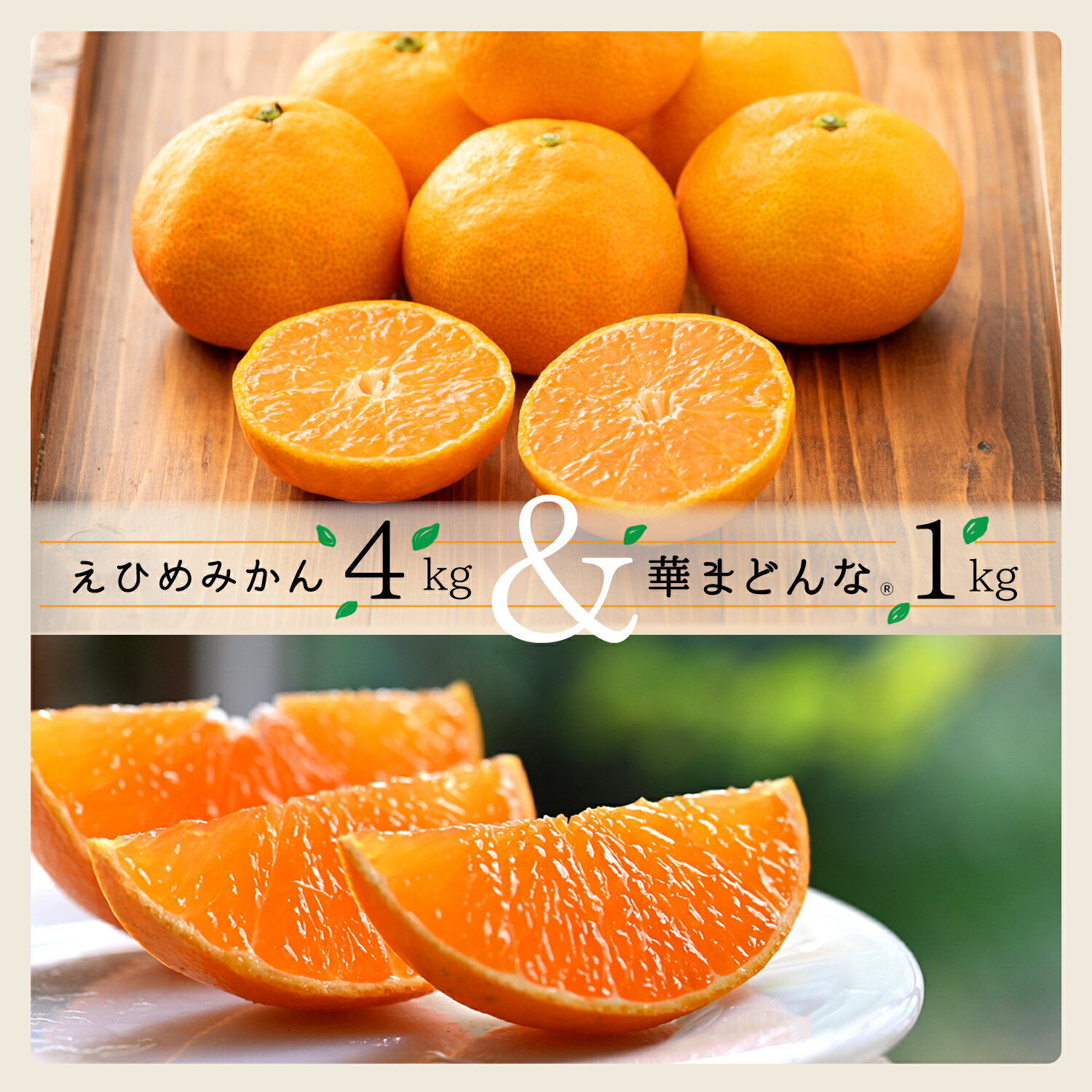 【ふるさと納税】コウ果樹園の「えひめみかん4kg・華まどんな1kg 詰め合せ」【D33-12】_ みかん ミカン 蜜柑 フルーツ 果物 くだもの 人気 美味しい 柑橘類 柑橘 愛媛県 八幡浜市 ふるさと 【1123769】YWTG006